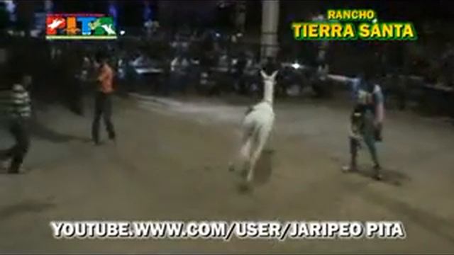 PETLALCINGO,PUEB.Rancho Tierra Santa DEL Mogote,Gro.RULETA DE LA MUERTE смотреть онлайн