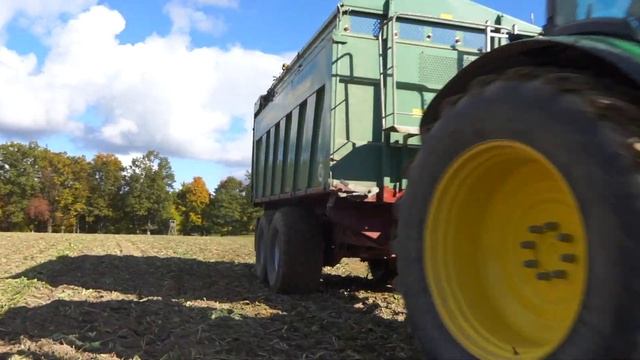 Rübenernte XL mit 34t Raubkatze /neuer Ropa Tiger 6S auf XXL Schlag смотреть онлайн