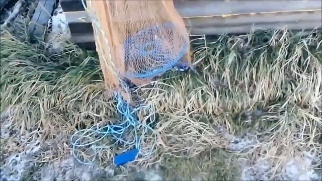 прежде чем покупать кастинговую сеть посмотри это видео. кастинговая сеть с большим кольцом. смотреть онлайн