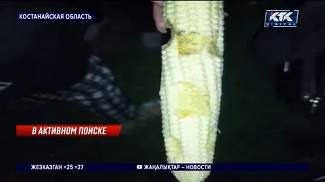 Костанай, девушка 5 лет смотреть онлайн