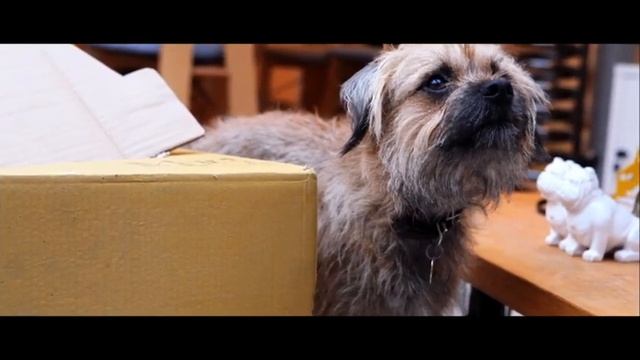 Rocket | Virgin Media Shorts 2012 shortlist смотреть онлайн