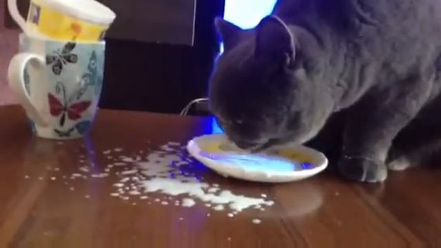 Боня пьет молоко смотреть онлайн