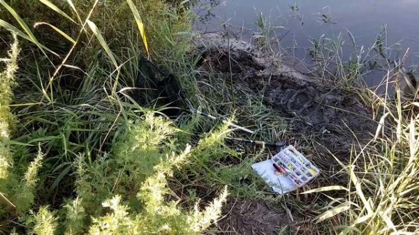 Siyah Kunduz , черный бобер , black beaver