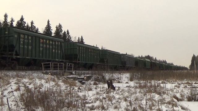 2ТЭ116У-0147 с грузовым поездом. смотреть онлайн