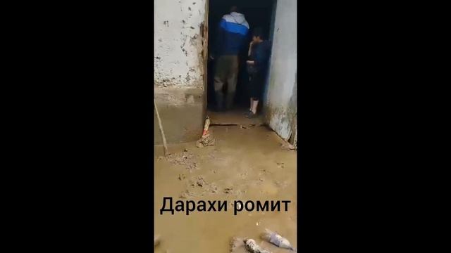Сел дар дараи ромит(10 05 2024)😭😭😭😭😭😭😭😭 смотреть онлайн