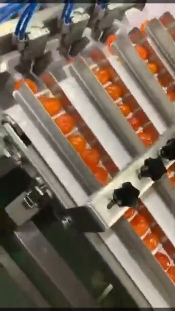 Circular Multi-Weight Sorting Machine for egg yolk sorting смотреть онлайн