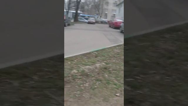 26.11.19 Жилищник Бабушкинского района Енисейская 17/2 смотреть онлайн