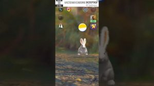 вертуальная игра говорящий кролик