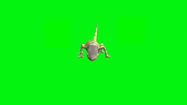 Green Screen Chameleon Animation No Copyright смотреть онлайн