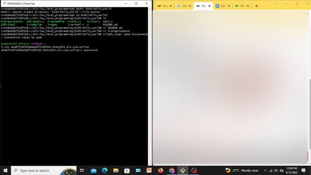 0x00 C Hello, World --- Task Done 200% смотреть онлайн