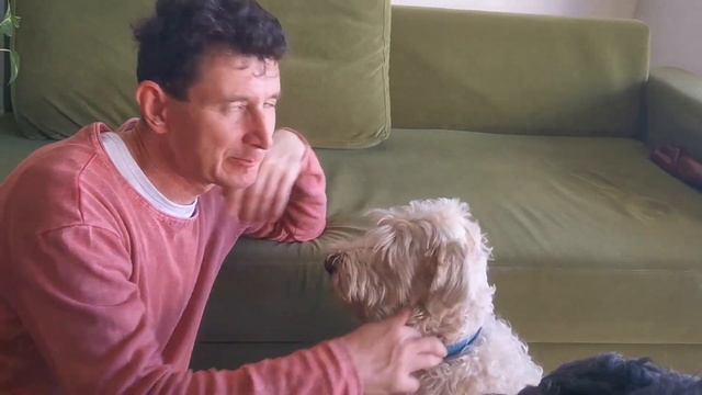 еда изо рта смотреть онлайн