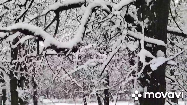 ОК КУШЛАР 🎶🎼🎶🧸🎵+ г МОСКВА смотреть онлайн