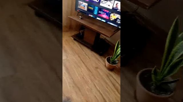 трансляция