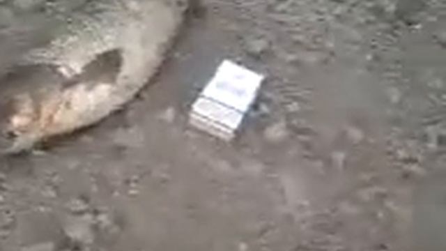 Ловля голавля нахлыст 1,1кг. catching golavl' смотреть онлайн