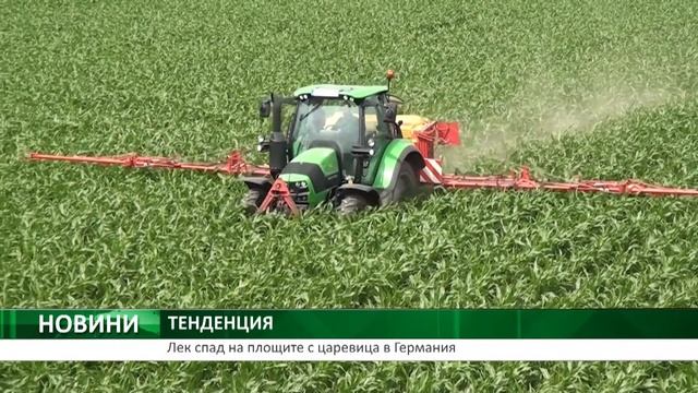 Спад на площите с царевица в Германия смотреть онлайн