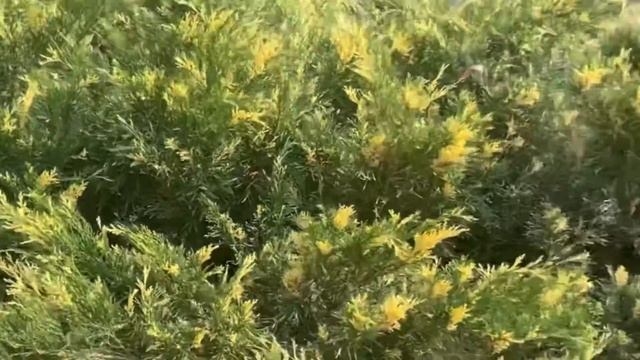 Воскресенье. 04.09.22. Начало учебного года // смотреть онлайн