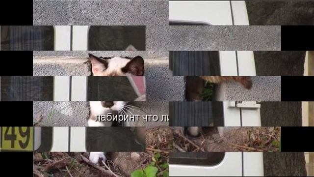 УЛЫБНИСЬ смотреть онлайн