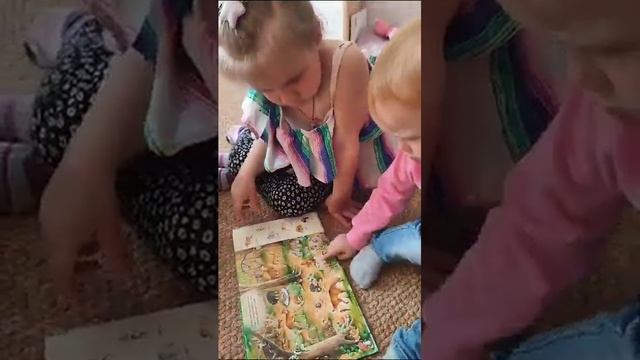 Изучаем картинки... смотреть онлайн