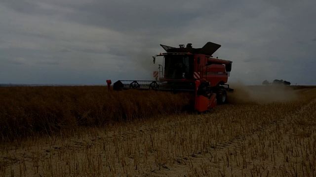 Koszenie Rzepaku Czyli Żniwa 2020 // Case Axial Flow 5130 // 2160p60fps (4K) смотреть онлайн