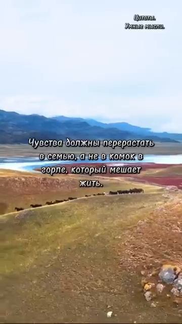 цитаты #лошади #омархайям смотреть онлайн