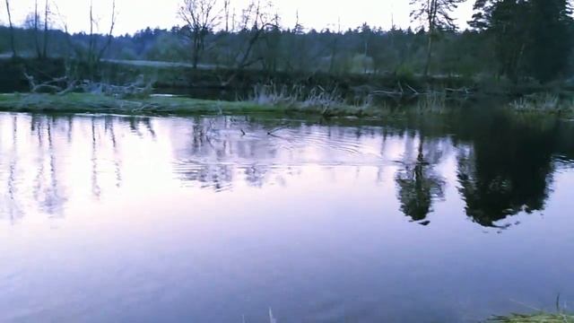 Эдиз и плавающий бобер смотреть онлайн