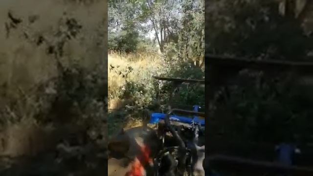 TSLQ160 OSMA Мульчер на трактор 100лс смотреть онлайн