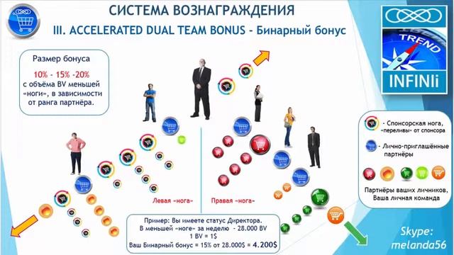 INFiNii - Маркетинг - план компании. смотреть онлайн
