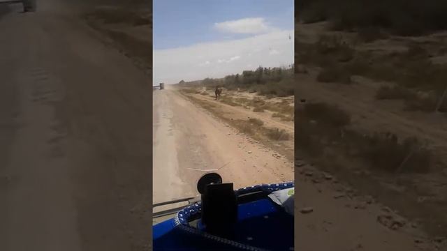 suvatlı köyünden bi şoför Türkmenistan yolları смотреть онлайн