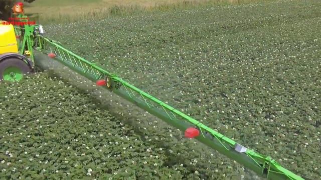 Dammann Profi-Class Tandem spraying potatoes season 2014 смотреть онлайн