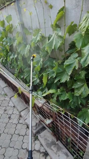 Опрыскиватель аккумуляторный. 5ч - полет нормальный! #весной #garden #виноград #сад #дача #обработк смотреть онлайн