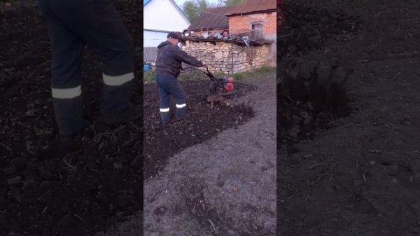 культивация фрезами и гусиными лапками . пробуем