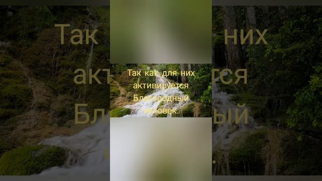 #Феншуй #прогноз на #декабрь #2023 /#Forecast for #December #2023 смотреть онлайн