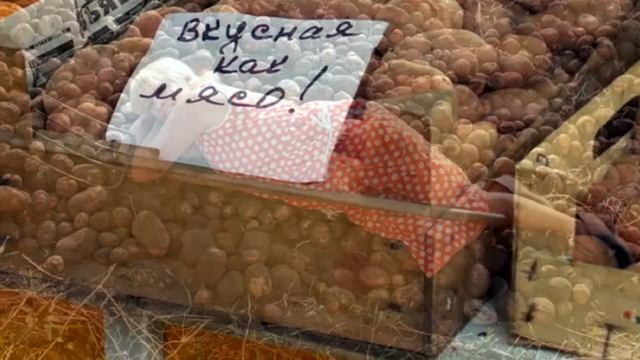 А я живу не по фен шую, а как живёт Россия-мать смотреть онлайн