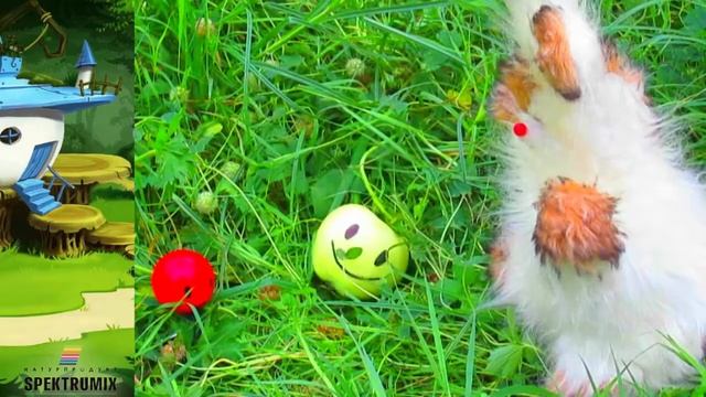 Мультфильм: "Яблочные слайсы едят не только зайцы!" смотреть онлайн