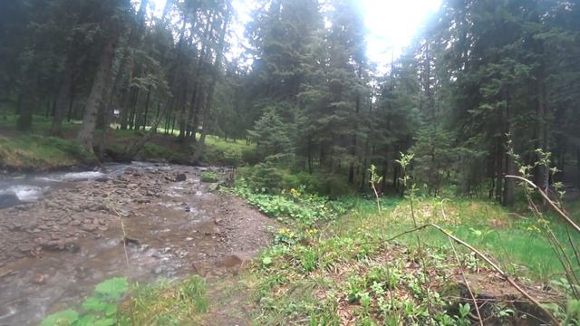 Карпаты не пускали на ГОВЕРЛУ но мы прорвались!!! смотреть онлайн