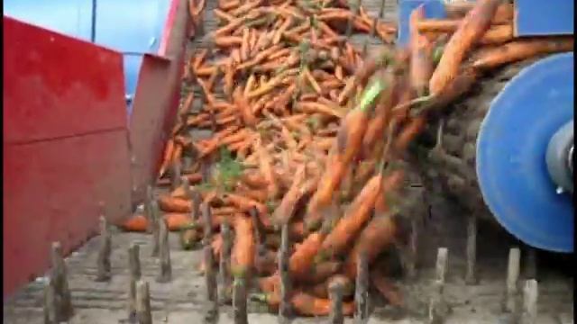 ASA-LIFT - T-250B - Carrot Harvester