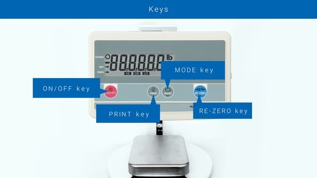 FG Series of Platform Scales смотреть онлайн