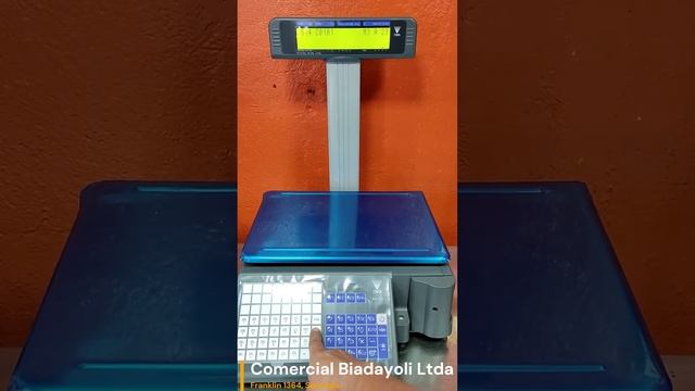 COMO PROGRAMAR PLU DIGI SM320 смотреть онлайн