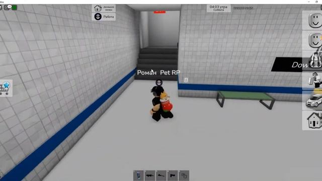 Я стал Полицейским на 24 часа в Brookhaven RP/RomanPet RP и Fantomer