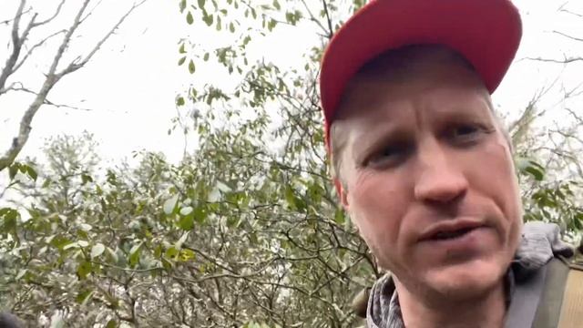 The truth about bear hunting with Laikas смотреть онлайн