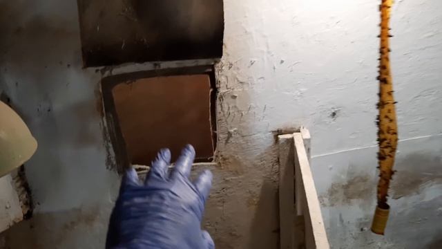 //Свині помирають від жари,не шукайте крайніх,а щось робіть//Скупий плате двічі// смотреть онлайн