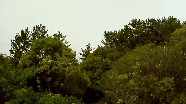 THUMB 4K TESTE MOBULA 7 1S смотреть онлайн