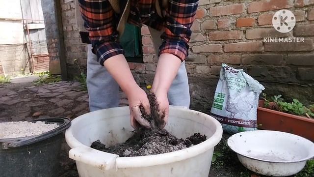 Якщо хочете мати гарний врожай то приготуйте Грунтосуміш для висадки насіння огірків і розсади. смотреть онлайн