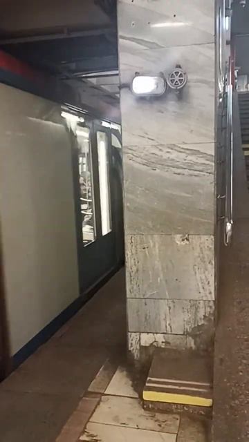 Прибытие поезда Москва на станцию Октябрьское Поле #shorts #метро смотреть онлайн