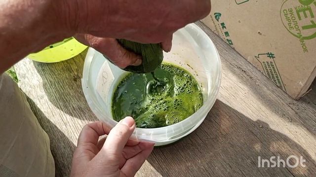 СОК ЛОПУХА БУДУ ПИТЬ КАК Я ЕГО ДЕЛАЮ. смотреть онлайн