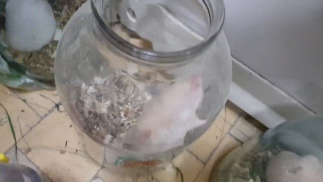 В полдень тихий час 1 смотреть онлайн