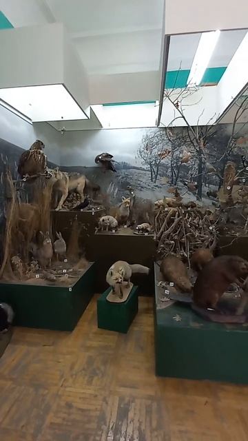 Краеведческий музей Камышин 24 июня 2023 смотреть онлайн