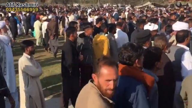 Camels weight lifting 2022 in Chakswari Azad Kashmir || weight 36 man 10 kg смотреть онлайн
