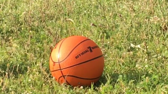 Fx indy bullpup and Сайга 410.saiga 410 shooting a basketball..!! смотреть онлайн