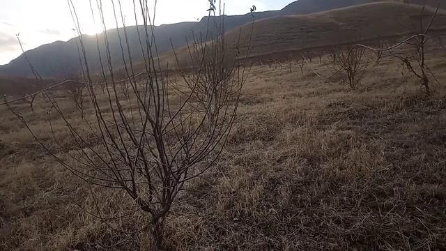 Кайрак жерге укмуш бак кылыптыр смотреть онлайн